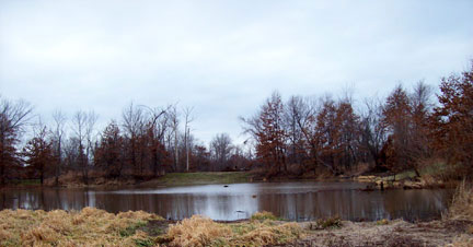Missouri Wetlands Waterfowl