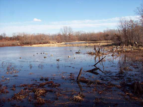 Missouri Wetlands