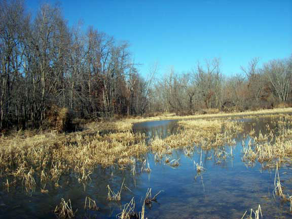 Missouri Wetlands