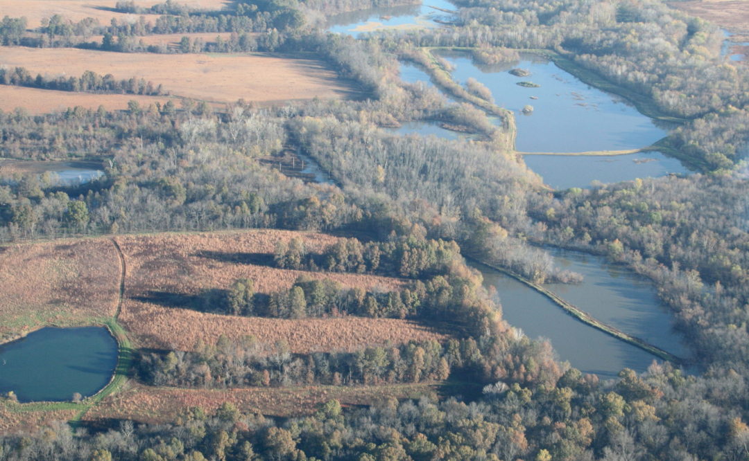 Big Creek Flyway Urich Missouri Wetlands MidAmerica Hunting