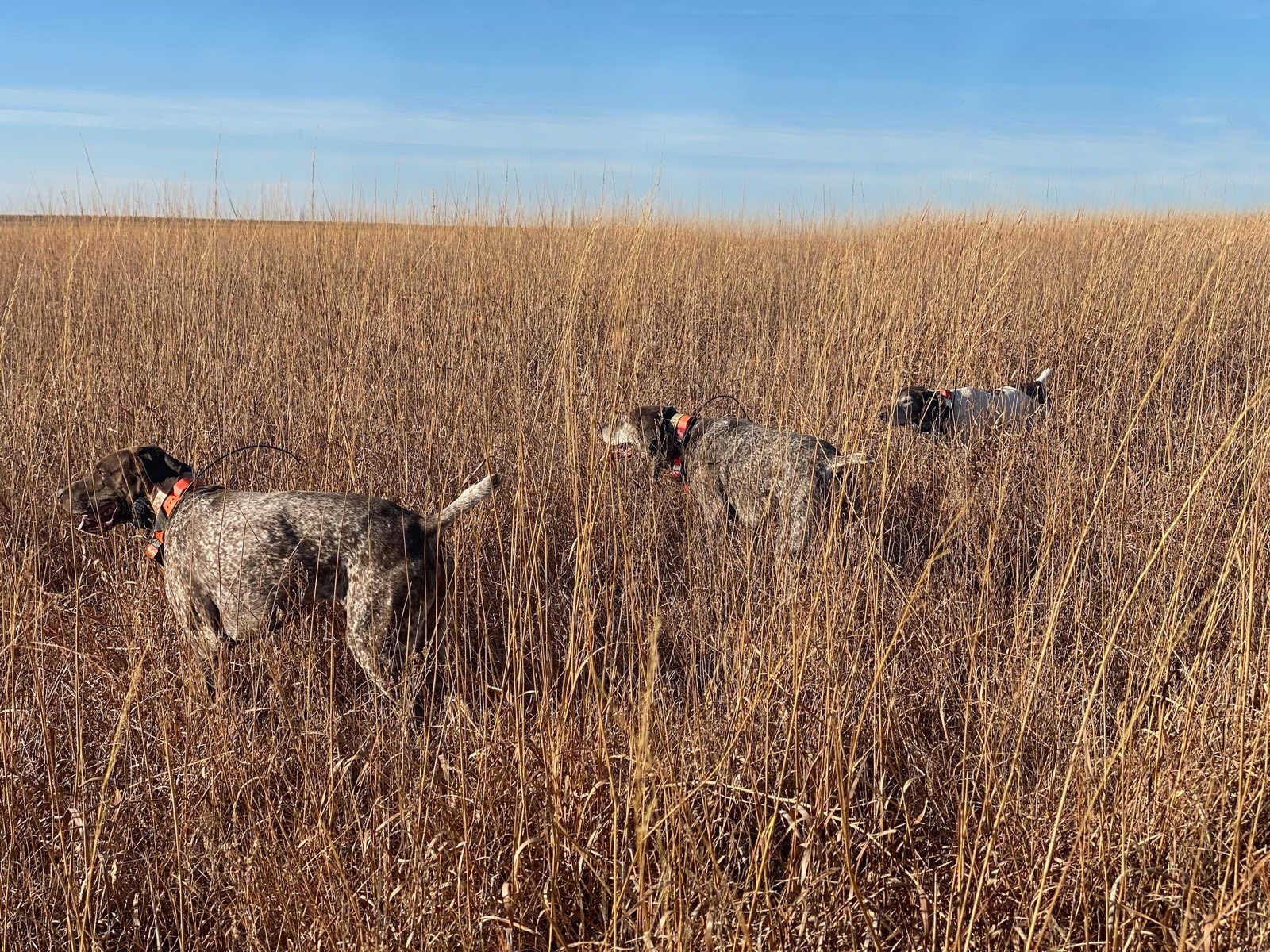 December 24 2021 Update Mid America Hunting Association December 24 2021 Update Mid America Hunting Association