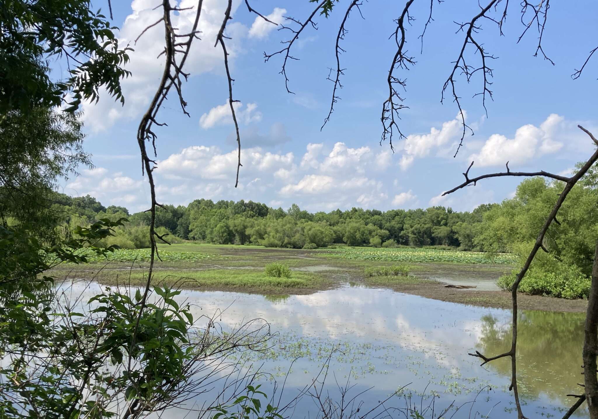 July 6 2022 Update Mid America Hunting Association July 6 2022 Update Mid America Hunting Association