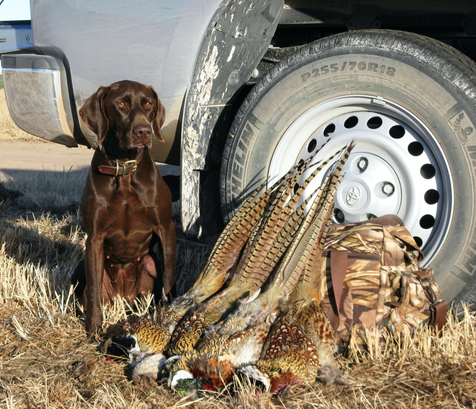 February 10, 2023 Update MidAmerica Hunting Association