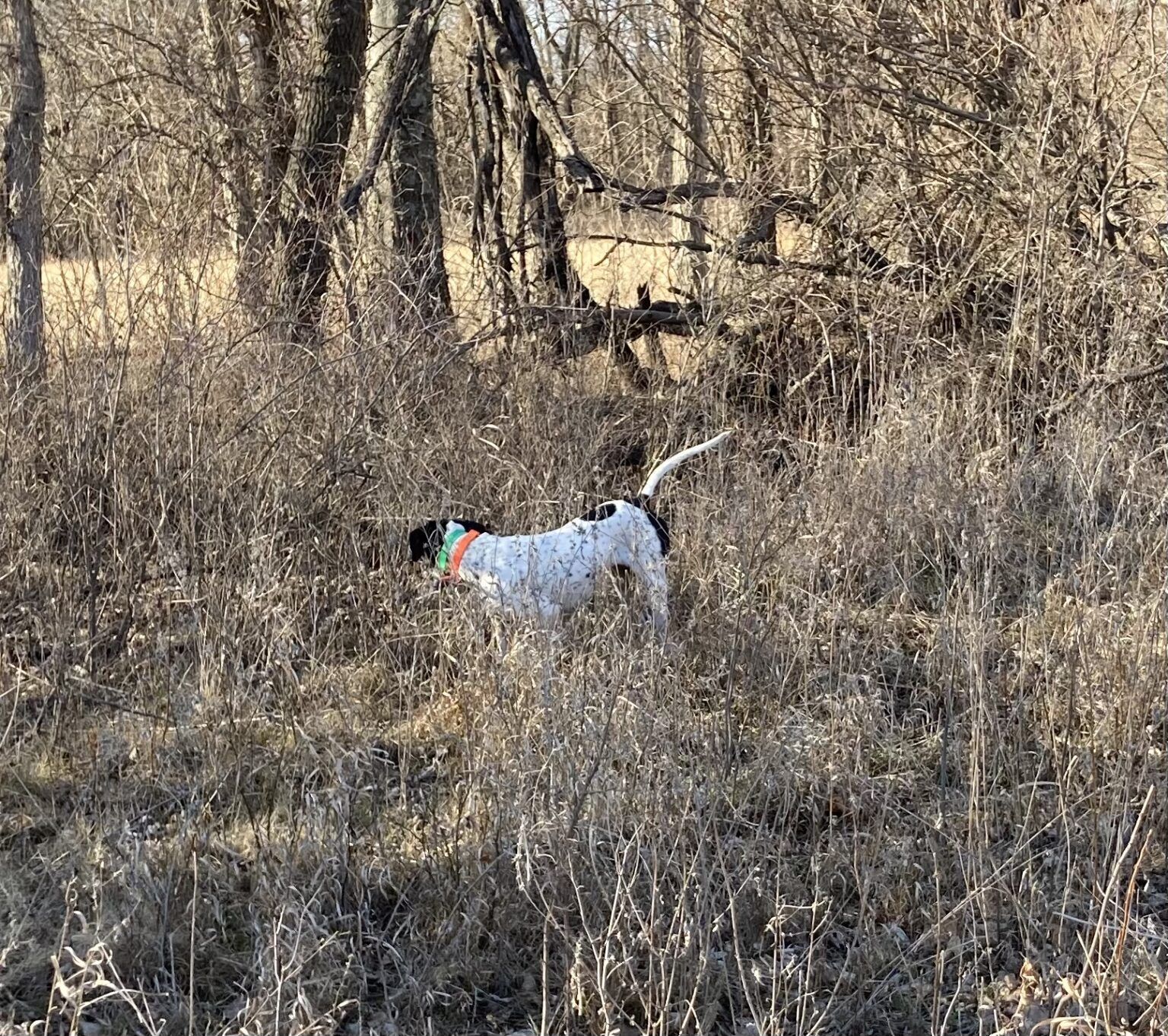 November 22, 2023 Update MidAmerica Hunting Association